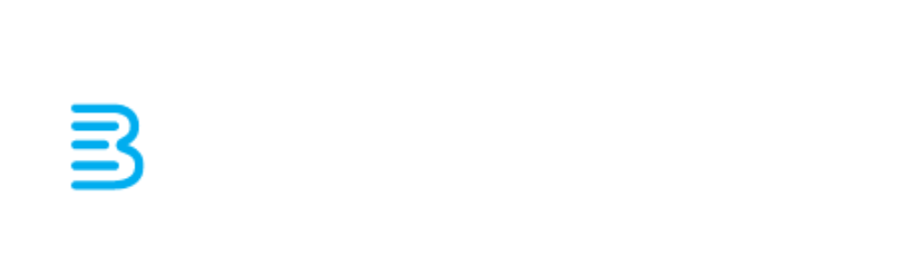 Bizers Academy